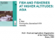Fish and fisheries at higher altitudes: Asia